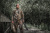 Куртка с подогревом - камуфляж M12 HJ CAMO6-0 (XL) 4933478980