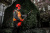 Насадка кусторез Milwaukee M18 FOPH-HTA 4932464959