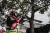 Насадка высоторез Milwaukee M18 FOPH-CSA 4932464957 Насадка высоторез Milwaukee M18 FOPH-CSA 4932464957